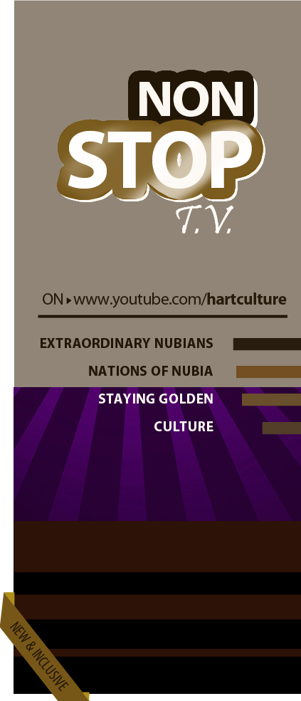 NONStop T.V. | RAINFOREST SERIES